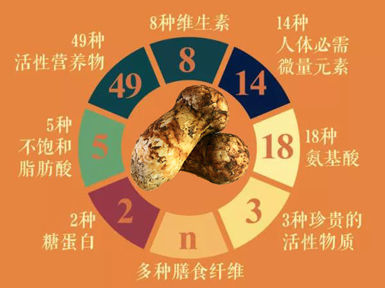 松茸的功效作用與營(yíng)養(yǎng)價(jià)值
