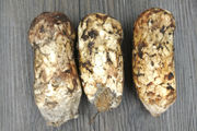 新鮮松茸批發(fā)價(jià)格