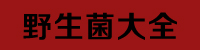 野生菌