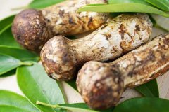 四川巴塘松茸-[年產(chǎn)量200噸左右]